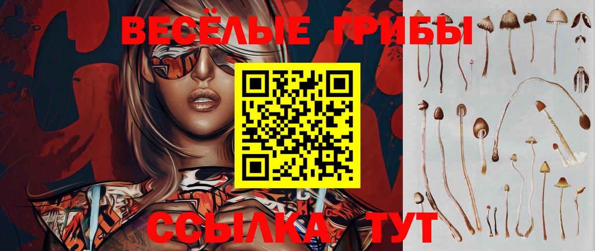 Улан-Удэ  Псилоцибиновые грибы GOLDEN TEACHER  Вход с VPN 